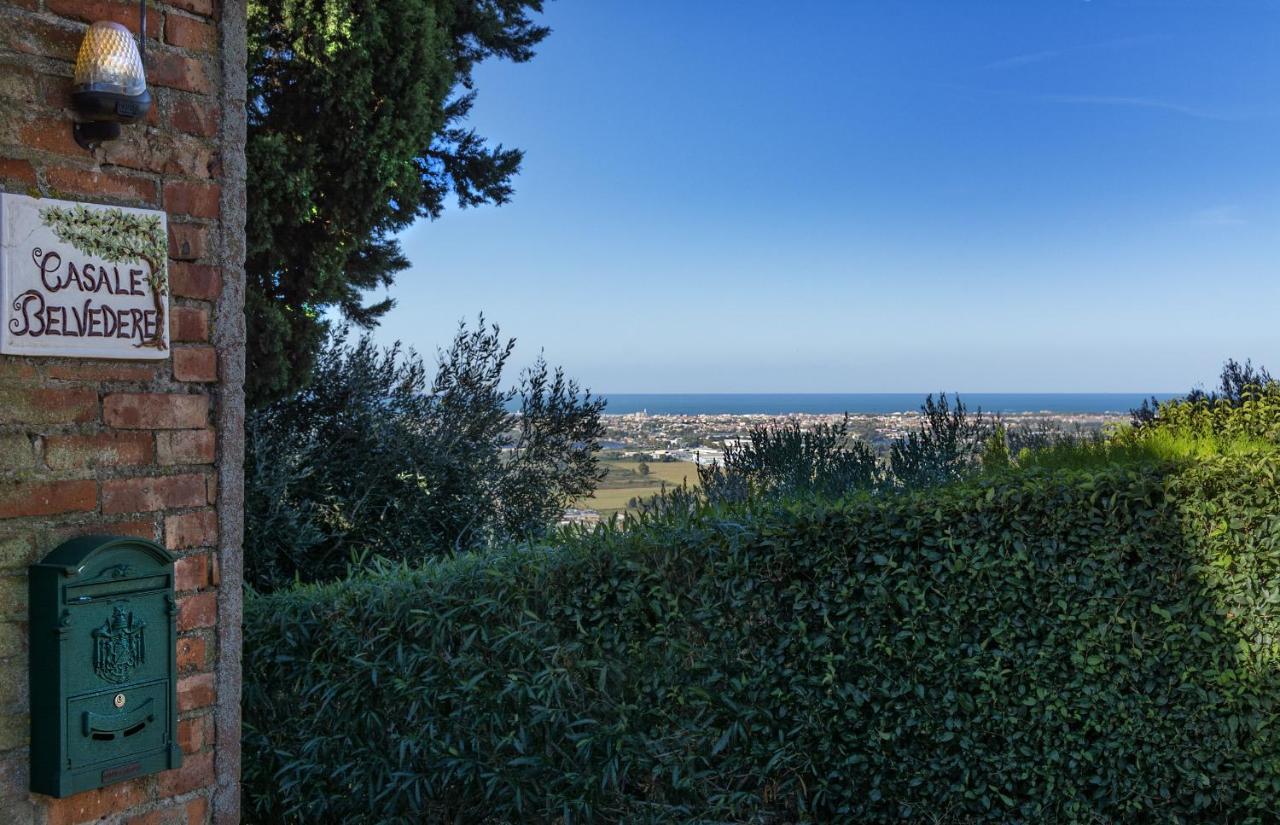 Casale Belvedere "Il Melograno" Массароза Экстерьер фото